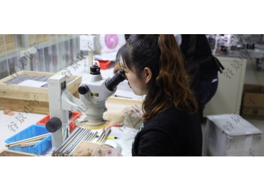 貼片共模電感方向如何區(qū)分你知道嗎？